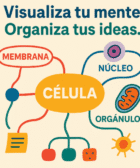 mapas mentales