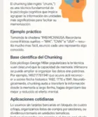 Qué es el Chunking?